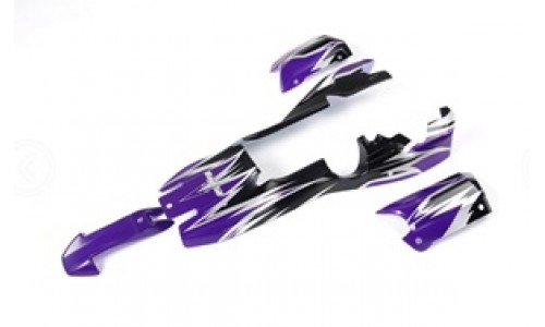 5B Body Shells - Purple and Silver as per picture | Rovan Sports